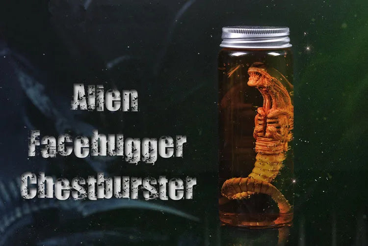 Alien Jar Xenomorph Specimen - Facehugger Embryo Glass Jar Movie Prop Replica - Yurei Works