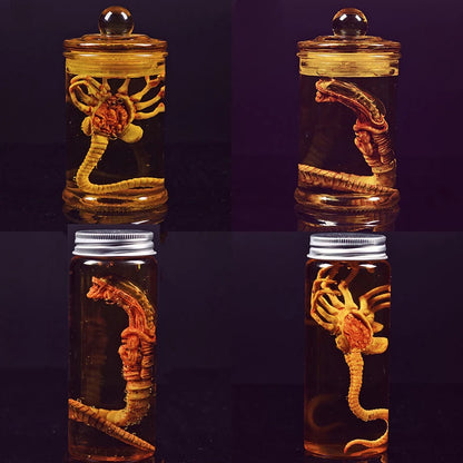 Alien Jar Xenomorph Specimen - Facehugger Embryo Glass Jar Movie Prop Replica - Yurei Works