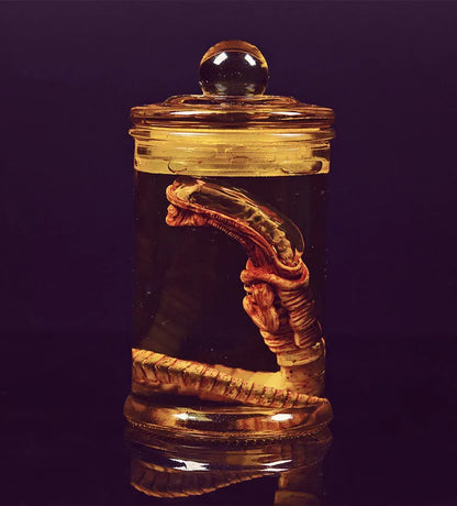 Alien Jar Xenomorph Specimen - Facehugger Embryo Glass Jar Movie Prop Replica - Yurei Works