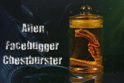 Alien Jar Xenomorph Specimen - Facehugger Embryo Glass Jar Movie Prop Replica - Yurei Works