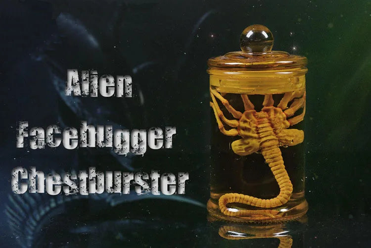 Alien Jar Xenomorph Specimen - Facehugger Embryo Glass Jar Movie Prop Replica - Yurei Works