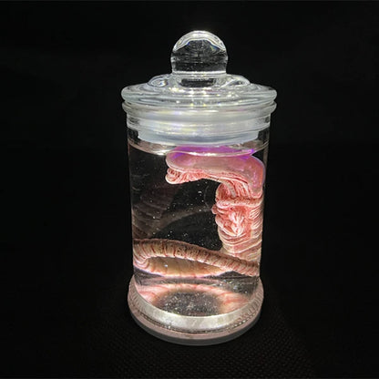 Alien Jar Xenomorph Specimen - Facehugger Embryo Glass Jar Movie Prop Replica - Yurei Works