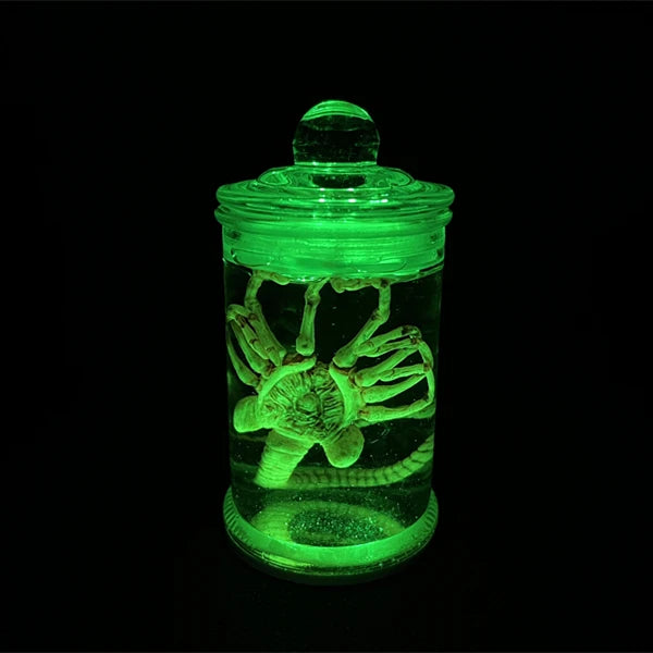 Alien Jar Xenomorph Specimen - Facehugger Embryo Glass Jar Movie Prop Replica - Yurei Works