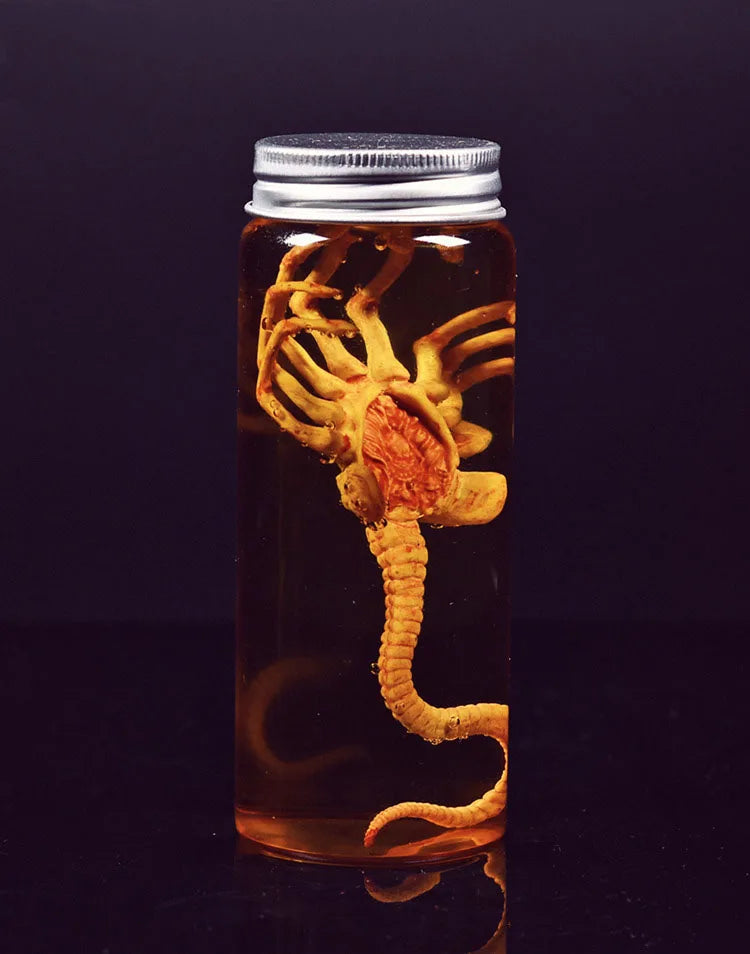 Alien Jar Xenomorph Specimen - Facehugger Embryo Glass Jar Movie Prop Replica - Yurei Works