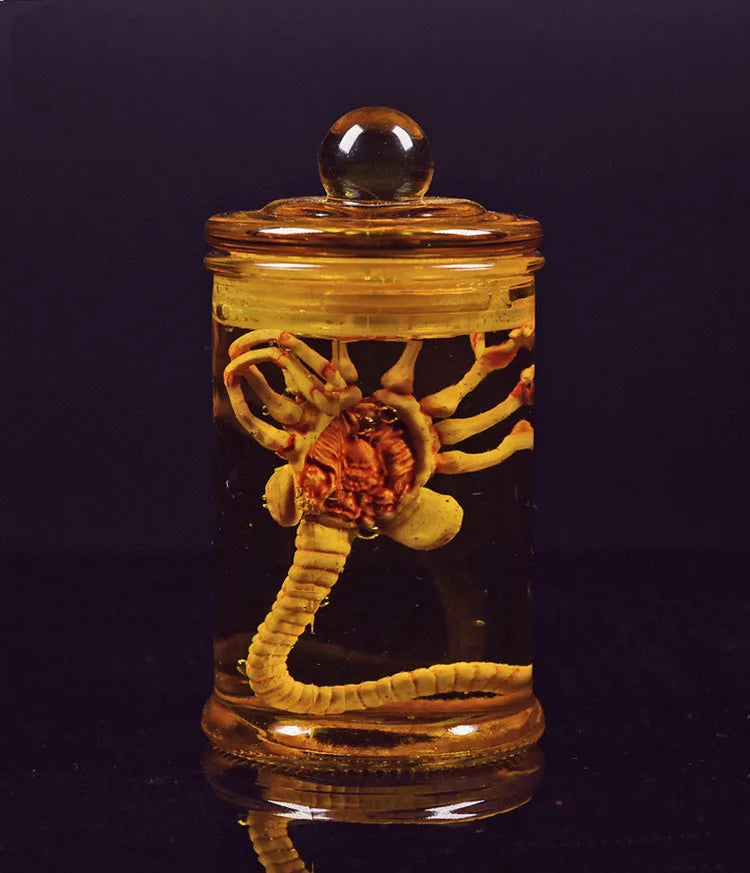 Alien Jar Xenomorph Specimen - Facehugger Embryo Glass Jar Movie Prop Replica - Yurei Works