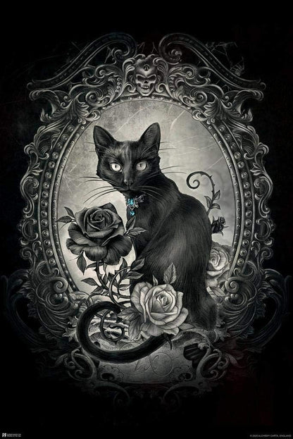 Alchemy Paracelsus Black Cat Gothic Goth Room Decor Skull Horror Witchy Witchcraft Wiccan Decorations Cool Wall Art Print Poster 24X36