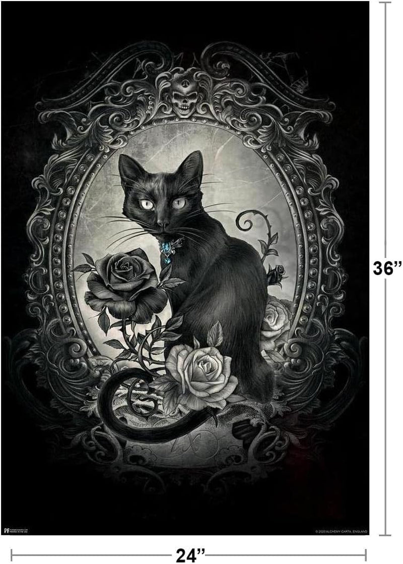 Alchemy Paracelsus Black Cat Gothic Goth Room Decor Skull Horror Witchy Witchcraft Wiccan Decorations Cool Wall Art Print Poster 24X36